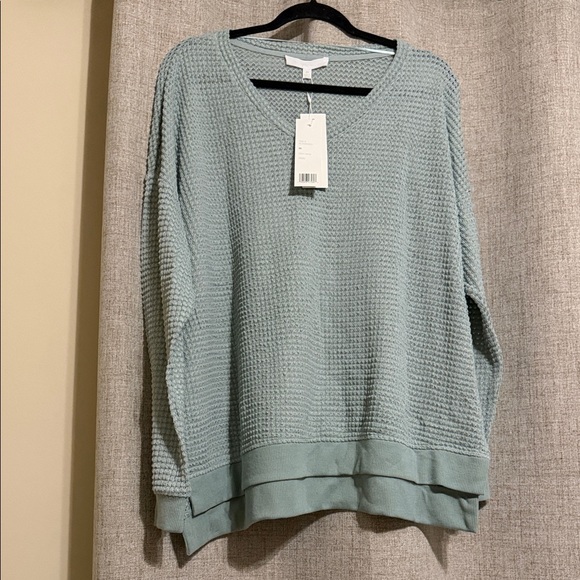 Adyson Parker Sweaters - NWT Adyson Parker Textured V-Neck Sweater in Soft Blue 2X